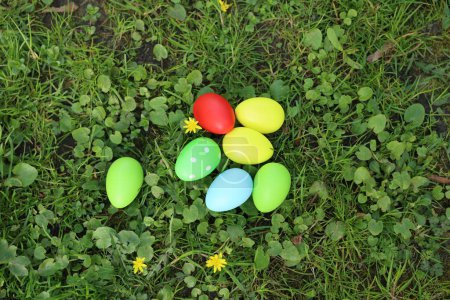 Easter celebration. Painted eggs on green grass, top view