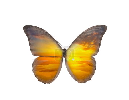 Double exposure of fragile exotic butterfly and sandy desert