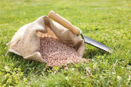 Granulated fertilizer in sack and shovel on green grass outdoors