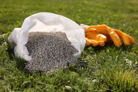 Granulated fertilizer in sack and gloves on green grass outdoors, closeup