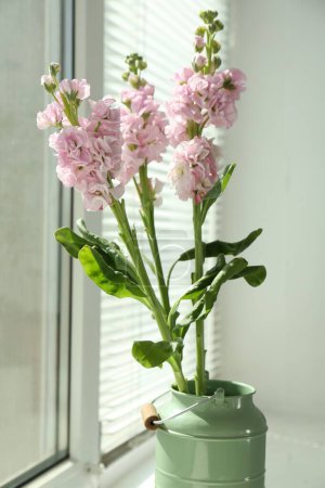 Beautiful pink flowers in vase on windowsill