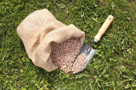 Granulated fertilizer in sack and shovel on green grass outdoors, top view