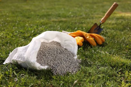 Granulierter Dünger in Sack, Schaufel und Handschuhen auf grünem Gras im Freien, Nahaufnahme