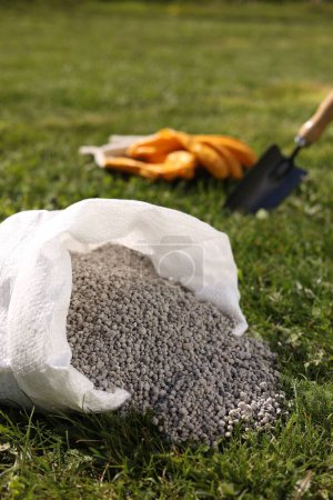 Granulated fertilizer in sack on green grass outdoors, closeup
