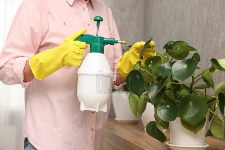 Housewife spraying green houseplants at home, closeup