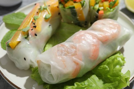 Tasty spring rolls and lettuce on plate, closeup