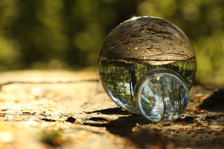 Beautiful forest with green trees, overturned reflection. Crystal balls on ground outdoors. Space for text