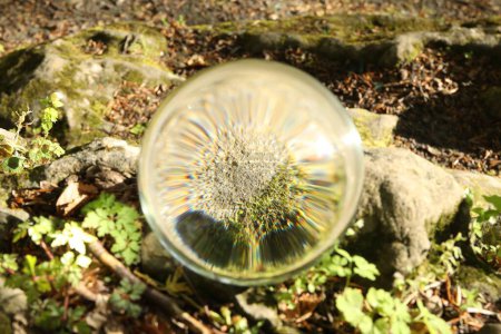 Ground with green moss outdoors, overturned reflection. Crystal ball on stone in forest