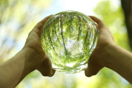 Téléchargez les photos : Arbres verts à l'extérieur, reflets renversés. Homme tenant une boule de cristal dans la forêt, gros plan - en image libre de droit