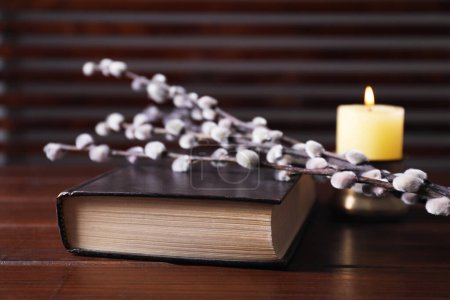 Bibel, brennende Kerze und Weidenzweige auf Holztisch, Nahaufnahme