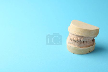 Photo for Dental model with gums on light blue background, space for text. Cast of teeth - Royalty Free Image