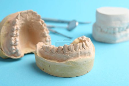 Dental models with gums and dentist tools on light blue background. Cast of teeth