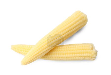Sabroso maíz fresco aislado en blanco, vista superior