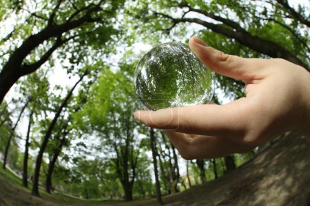 Hermosos árboles verdes al aire libre, reflejo volcado. Hombre sosteniendo una bola de cristal en el parque, de cerca. Lente gran angular