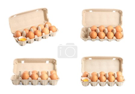 Viele Eier in Kartons auf weißem Hintergrund, gesetzt