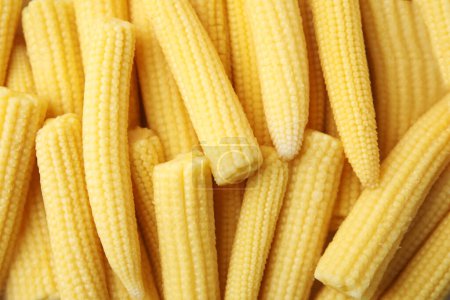 Tasty fresh yellow baby corns as background, top view