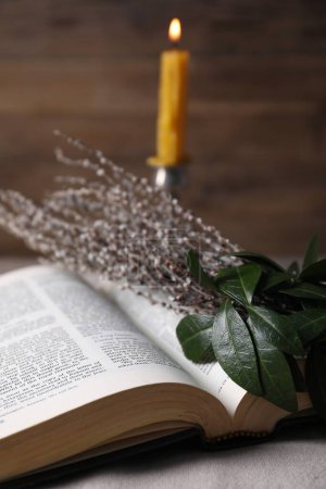 Photo for Bible and willow branches on table, closeup - Royalty Free Image