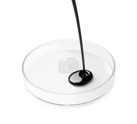Photo for Pouring black crude oil into Petri dish on white background - Royalty Free Image