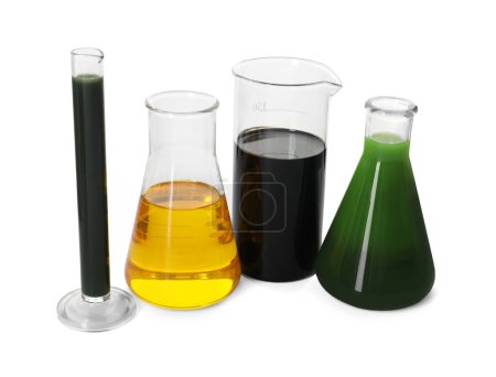 Test tube, beaker and flasks with different types of oil isolated on white