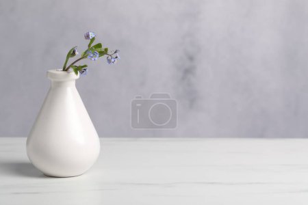 Belles fleurs oubliées dans un vase sur une table en marbre blanc. Espace pour le texte