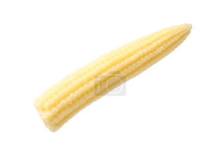 Tasty fresh baby corn isolated on white