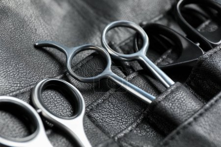 Hairdresser tools. Professional scissors in leather organizer, closeup