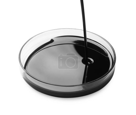 Téléchargez les photos : Verser du pétrole brut noir dans une boîte de Pétri sur fond blanc - en image libre de droit