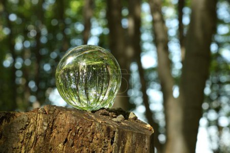 Grüne Bäume im Freien, umgekipptes Spiegelbild. Kristallkugel auf Baumstumpf im Wald. Raum für Text