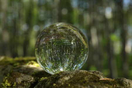 Beautiful green trees outdoors, overturned reflection. Crystal ball on stone with moss in forest