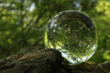 Beautiful green trees outdoors, overturned reflection. Crystal ball on stone in forest
