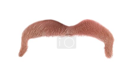 Foto de Elegante bigote rubio aislado en blanco. Cabello facial - Imagen libre de derechos