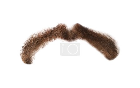 Foto de Elegante bigote marrón aislado en blanco. Cabello facial - Imagen libre de derechos