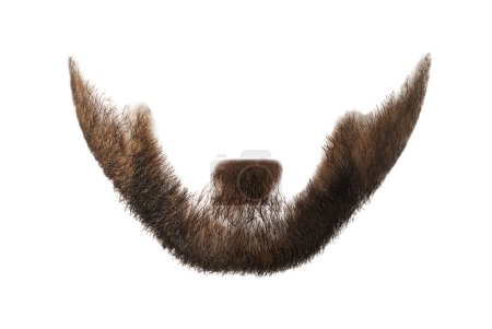 Foto de Elegante barba marrón aislada en blanco. Cabello facial - Imagen libre de derechos