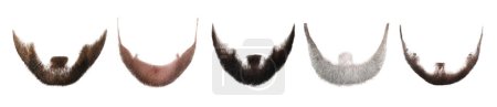 Foto de Diferentes barbas con estilo aislado en blanco, conjunto - Imagen libre de derechos
