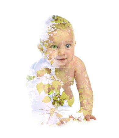 Photo for Double exposure of cute little child and green tree on white background - Royalty Free Image