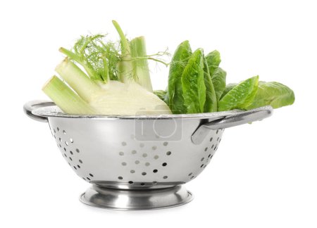 Metal colander with fennel and lettuce isolated on white