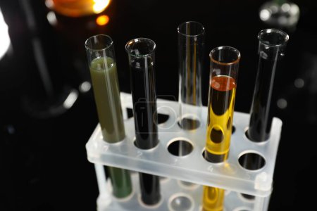 Photo for Test tubes with different types of oil on black background, closeup - Royalty Free Image