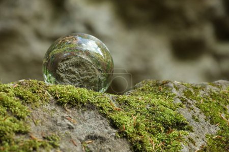 Schöner Wald, umgeworfenes Spiegelbild. Kristallkugel auf Steinoberfläche mit Moos im Freien
