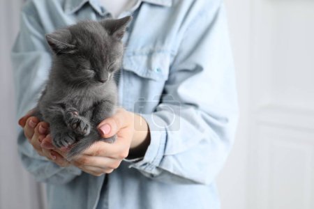 Photo for Woman with cute fluffy kitten indoors, closeup - Royalty Free Image