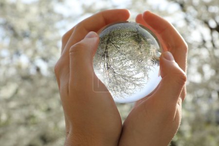Beautiful tree with white blossoms outdoors, overturned reflection. Man holding crystal ball in spring garden, closeup