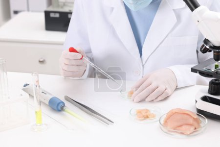 Foto de Quality control. Food inspector examining meat in laboratory, closeup - Imagen libre de derechos