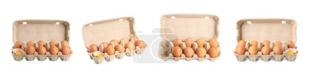 Brown chicken eggs in egg cartons isolated on white, set