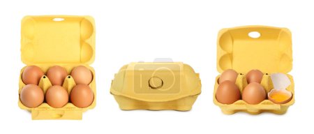 Brown chicken eggs in egg cartons isolated on white, set