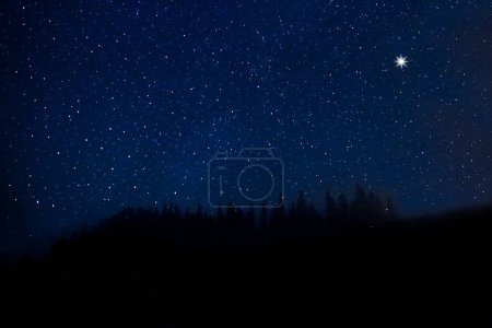 D'innombrables étoiles scintillantes dans le ciel nocturne sur la forêt