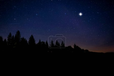 D'innombrables étoiles scintillantes dans le ciel nocturne sur la forêt