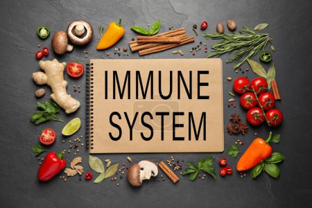 Impulso del sistema inmunológico con una nutrición adecuada. Diferentes alimentos y cuaderno en la mesa negra, la puesta plana