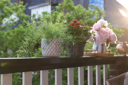 Balcony garden. Different plants growing on railings outdoors