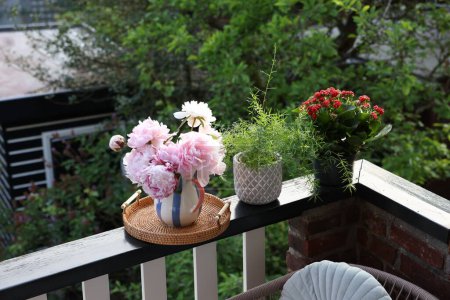 Balcony garden. Different plants growing on railings outdoors