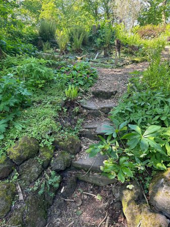 Pathway and different plants growing in botanical garden