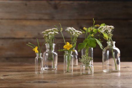 Yarrows and celandine flowers in glass bottles on wooden table